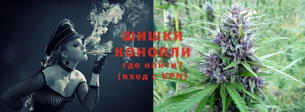 мдпв Богородицк