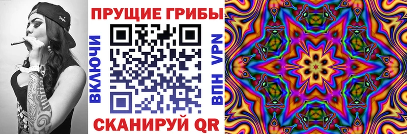 где купить наркоту  Улан-Удэ  ссылка на мегу как зайти  Псилоцибиновые грибы MAGIC MUSHROOMS 