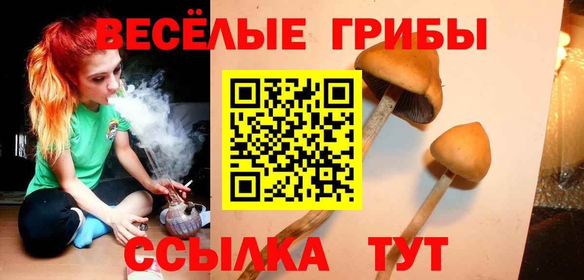 Галлюциногенные грибы Cubensis Улан-Удэ