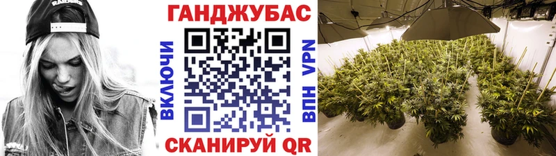 Бошки марихуана White Widow  даркнет как зайти  Улан-Удэ 